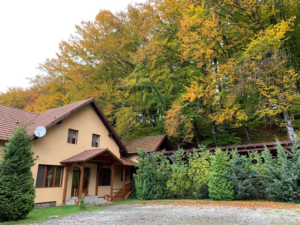 Chalet Forest